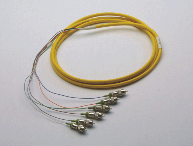 Single Mode FC/APC 6-Fiber Pigtail